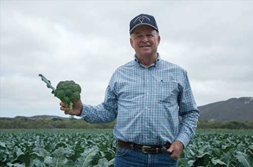 When You're Broccoli Bob, you Know Fresh Broccoli