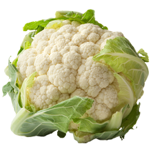 Picture of Cauliflower.