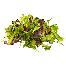 Picture of Spring Mix Blend.